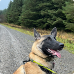 Scout Photo 2