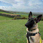 Scout Photo 3