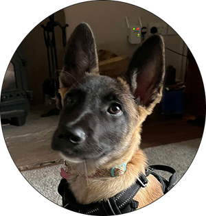 Scout Profile Image