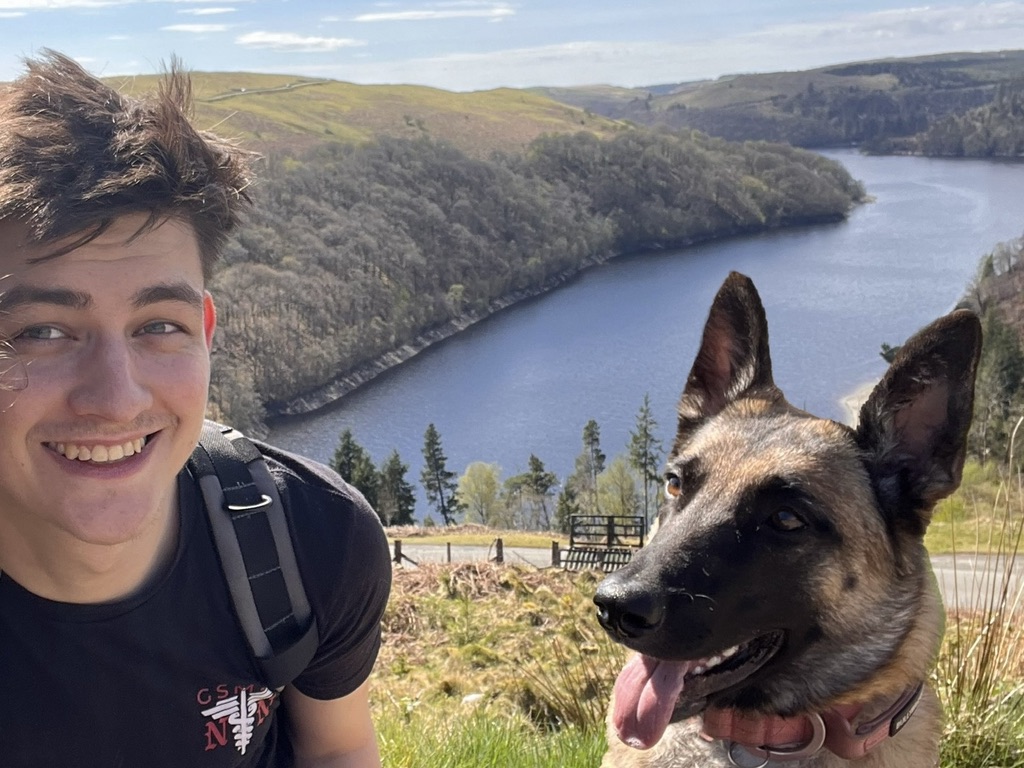 Scout the Belgian Malinois